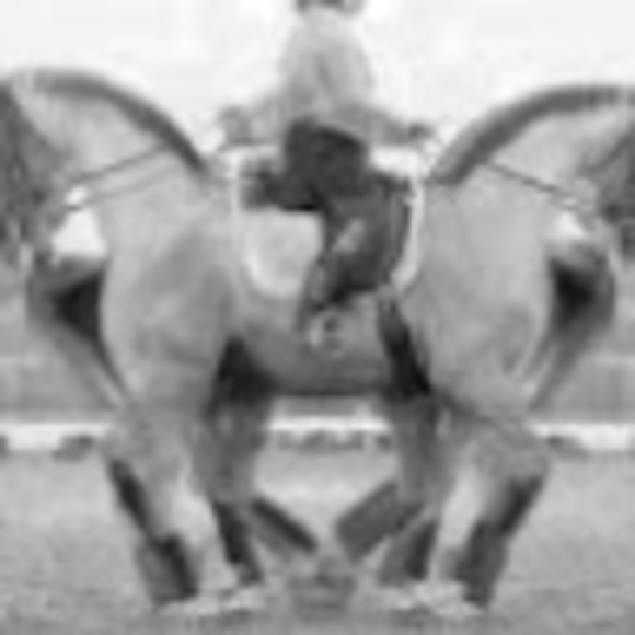 Meet your Posher, Laura - Picture 1 of 1